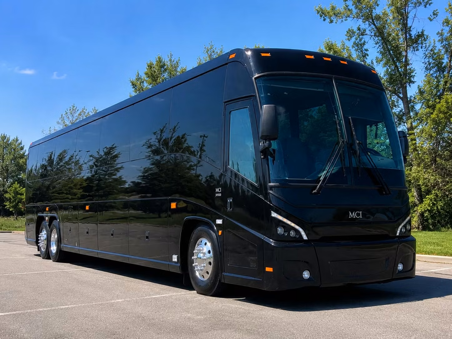 make your potter park zoo field trip unforgettable with private bus transportation